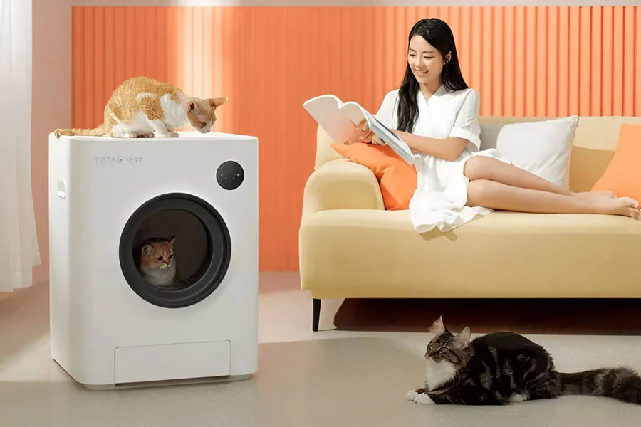 litterboxes